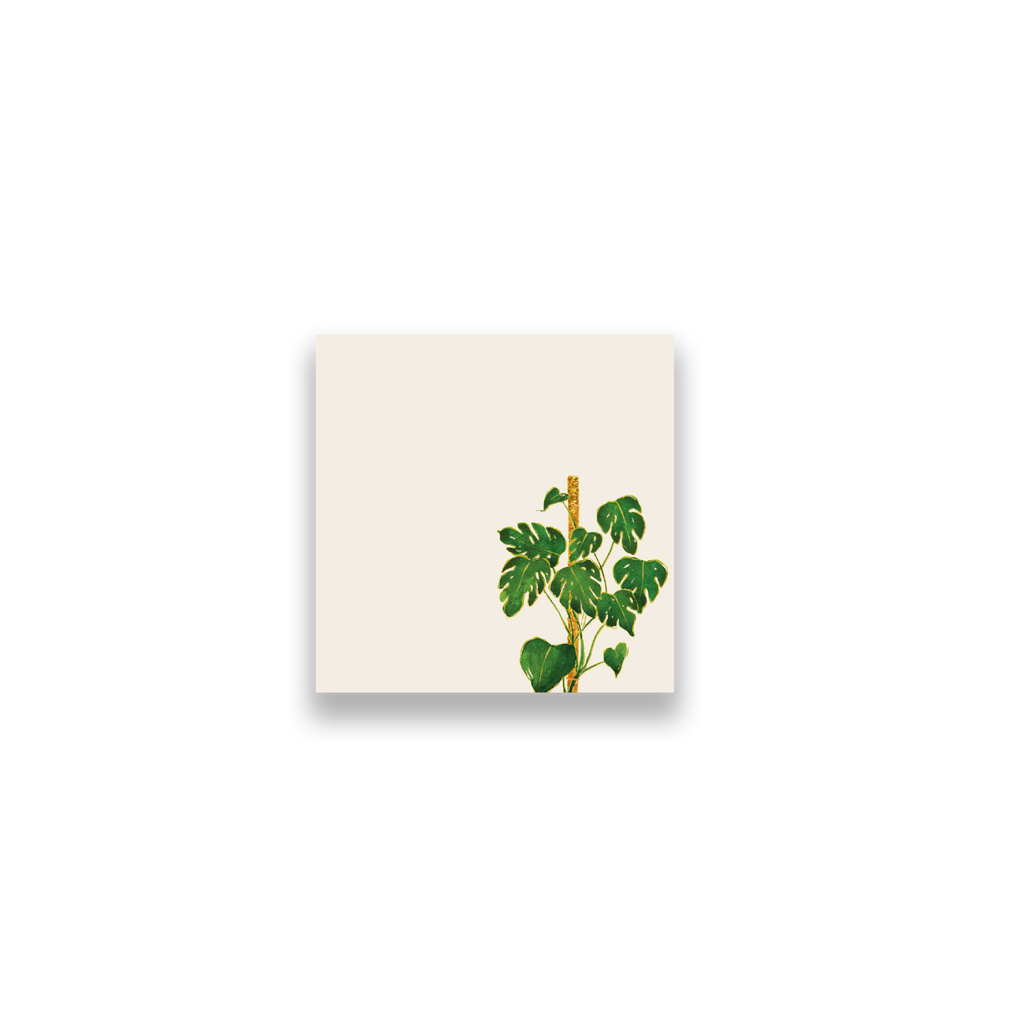 Monstera Stationery
