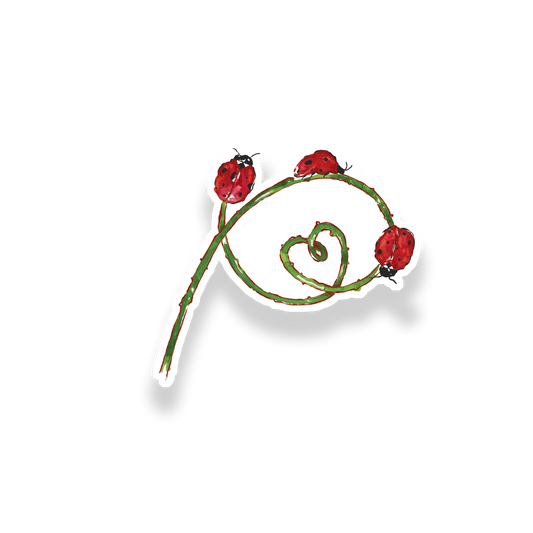Ladybug Sticker