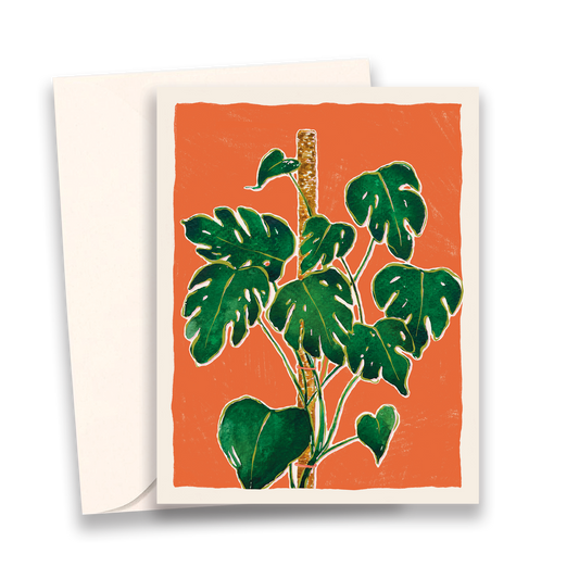Monstera House Plant Everyday Greetings